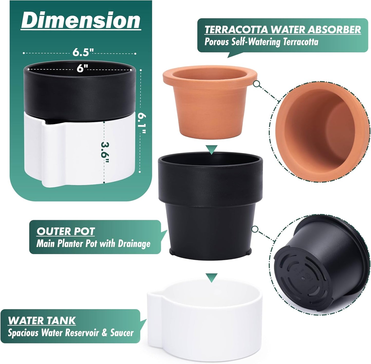 Phoenix Vine 6.5 Inch Self-Watering Planter Pot with Terracotta Insert, Deep Water Reservoir, and