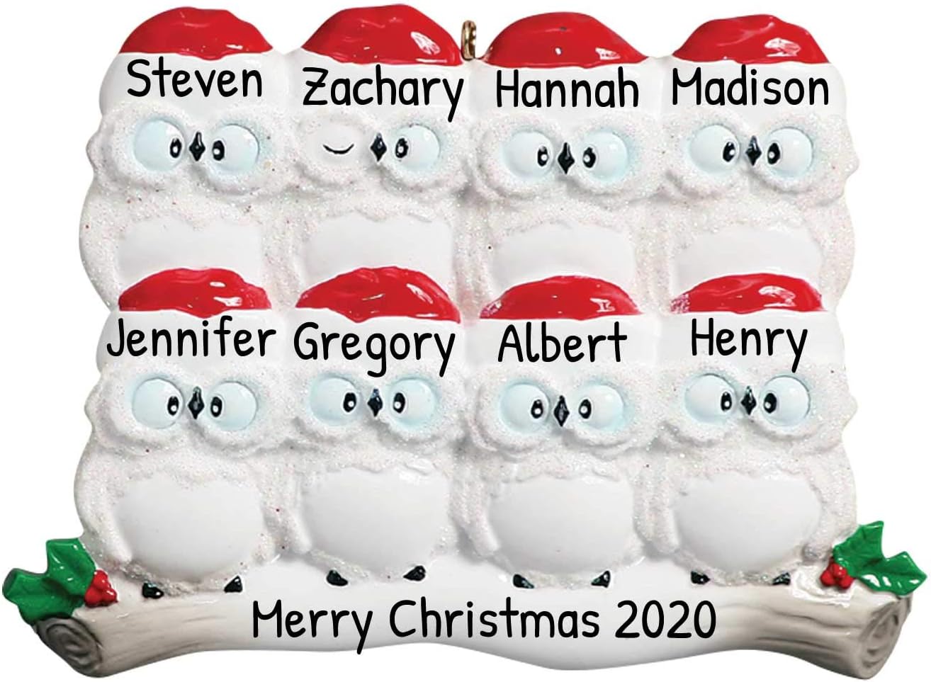 3D Owl Family of 8 Christmas Ornament 2025 Personalized Family Christmas Ornaments 2025 | White