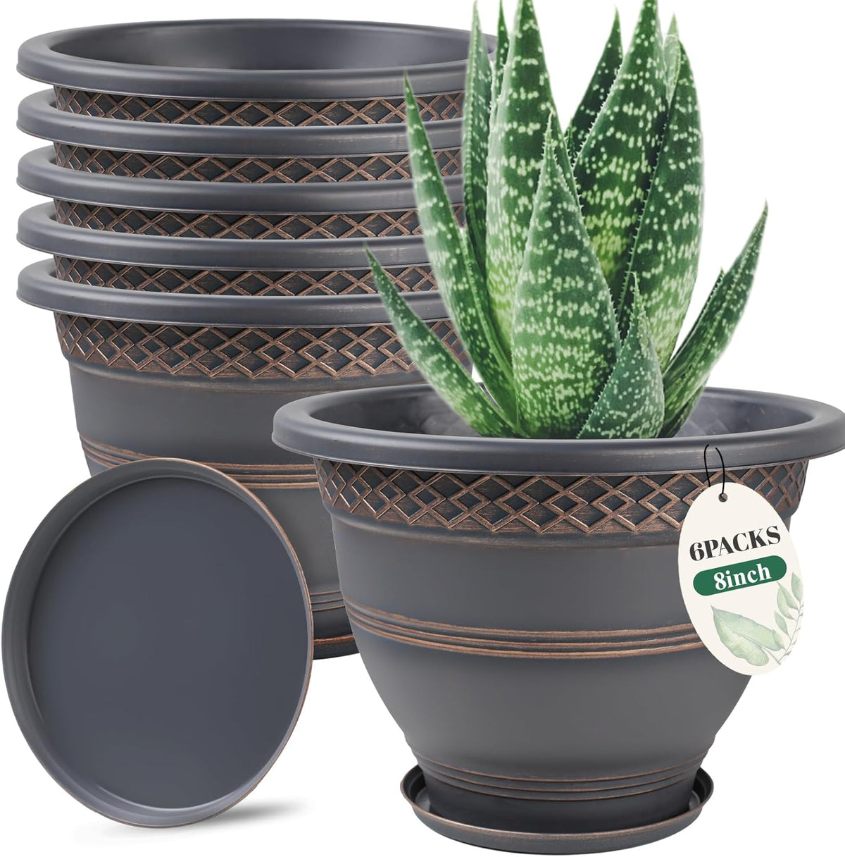 6 Pack 8 Inch Plant Pots, Plastic Flower Pot for Indoor & Outdoor with Drainage Holes & Saucer