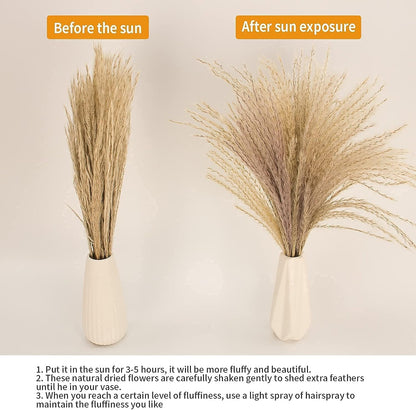 65PCS Pampas Grass Decor, Including pompas Floral, Reed Dried Grass and Bunny Tails Dried Flowers
