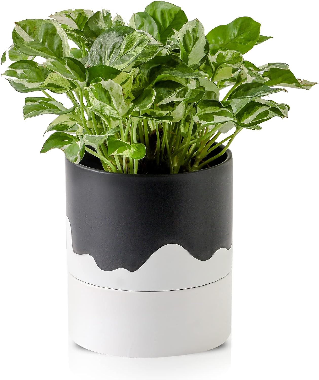 Nihow Self Watering Plant Pot: 6 Inch Ceramic Planter with Drainage Hole & Water Storage Plus for