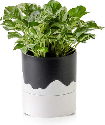 Nihow Self Watering Plant Pot: 6 Inch Ceramic Planter with Drainage Hole & Water Storage Plus for