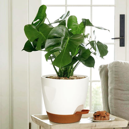 Uneed Indoor Self Watering Planters with Drainage Holes and Saucers, 7/6.5/6/5.5/5 Inch-5 Pots,for