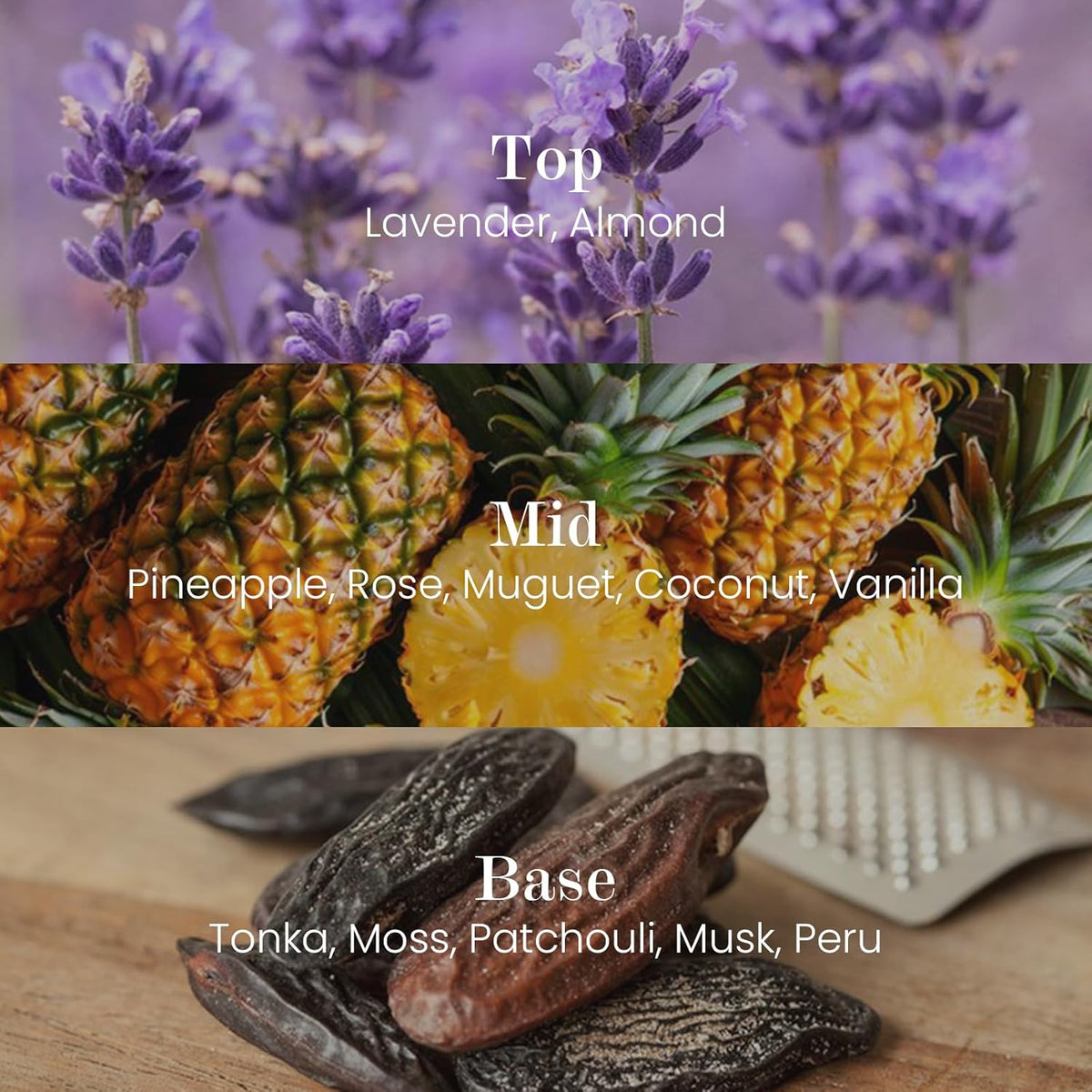 M&SENSE Natural Soy Candle| Lavender Vanilla | 16.6 oz, 95H Burn | Minimalist Scented Candle for