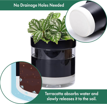 Phoenix Vine 6 Inch 4 Inch Self Watering Terracotta Planter, Black Terracotta Clay Pot with Glass