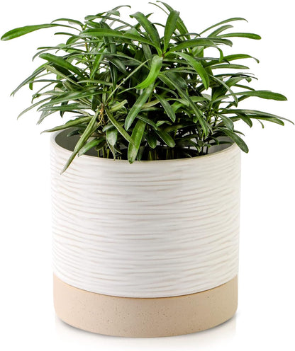 Nihow Ceramic Plant Pot: 6 Inch Planter with Drainage Hole & Saucer for Indoor & Outdoor Plants