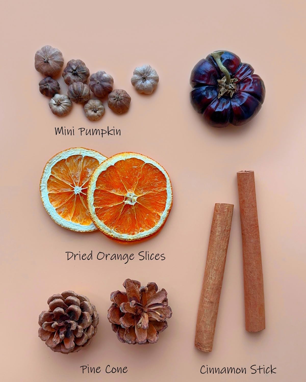 Fall Potpourri Bowl Filler with Mini Pumpkin, Cinnamon Stick, Dried Orange Slices, Pine