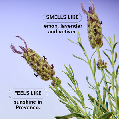 Boy Smells Lavender Candle - 8.5 oz - Luxury Candle with Lemon, Lavander, and Vetiver - Up to