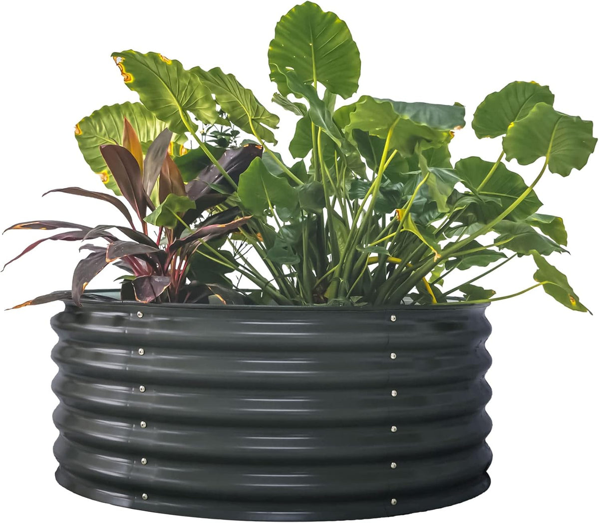 Vego garden 17" Tall 42" Round Raised Garden Bed Metal Raised Bed Planter Box for Vegetables