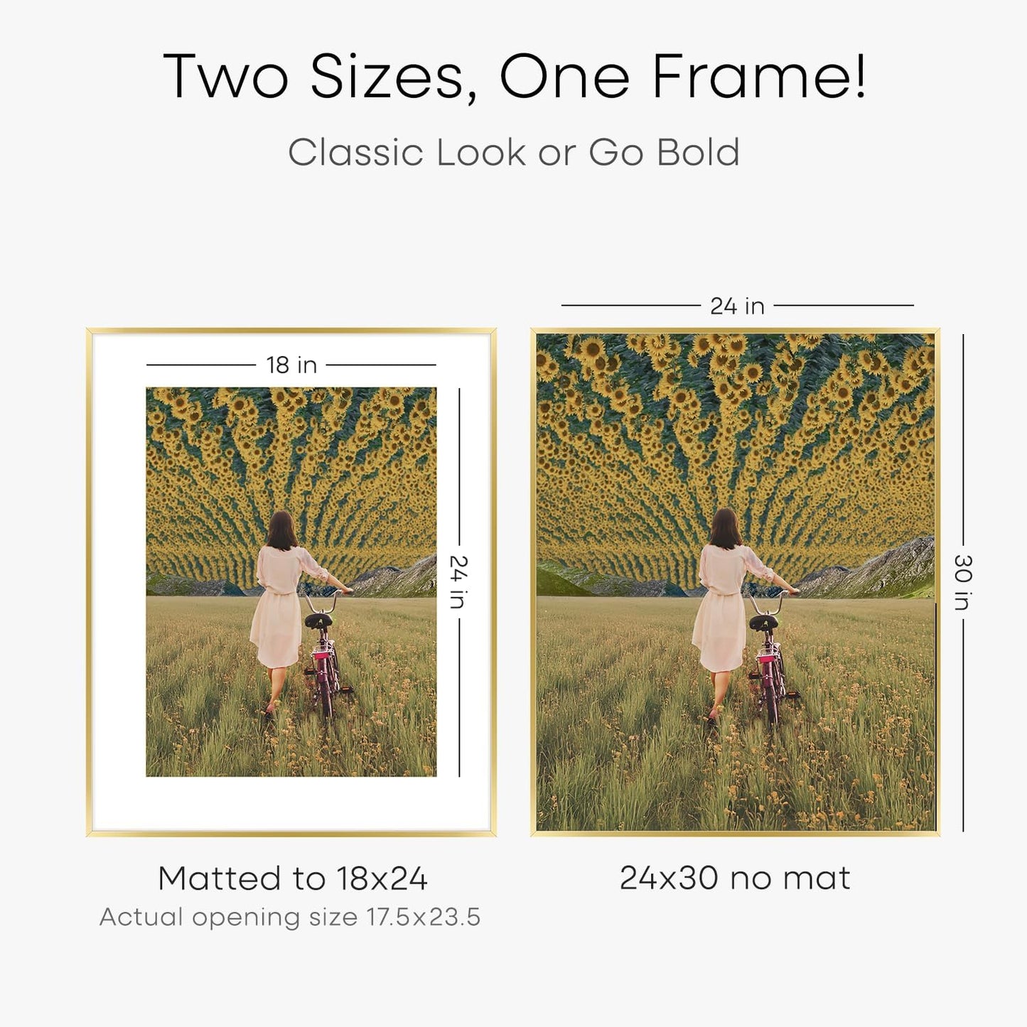 Homeforia 24x30 Picture Frame Gold, High End Metal 24 x 30 Poster Frames with 18 by 24 Mat Opening