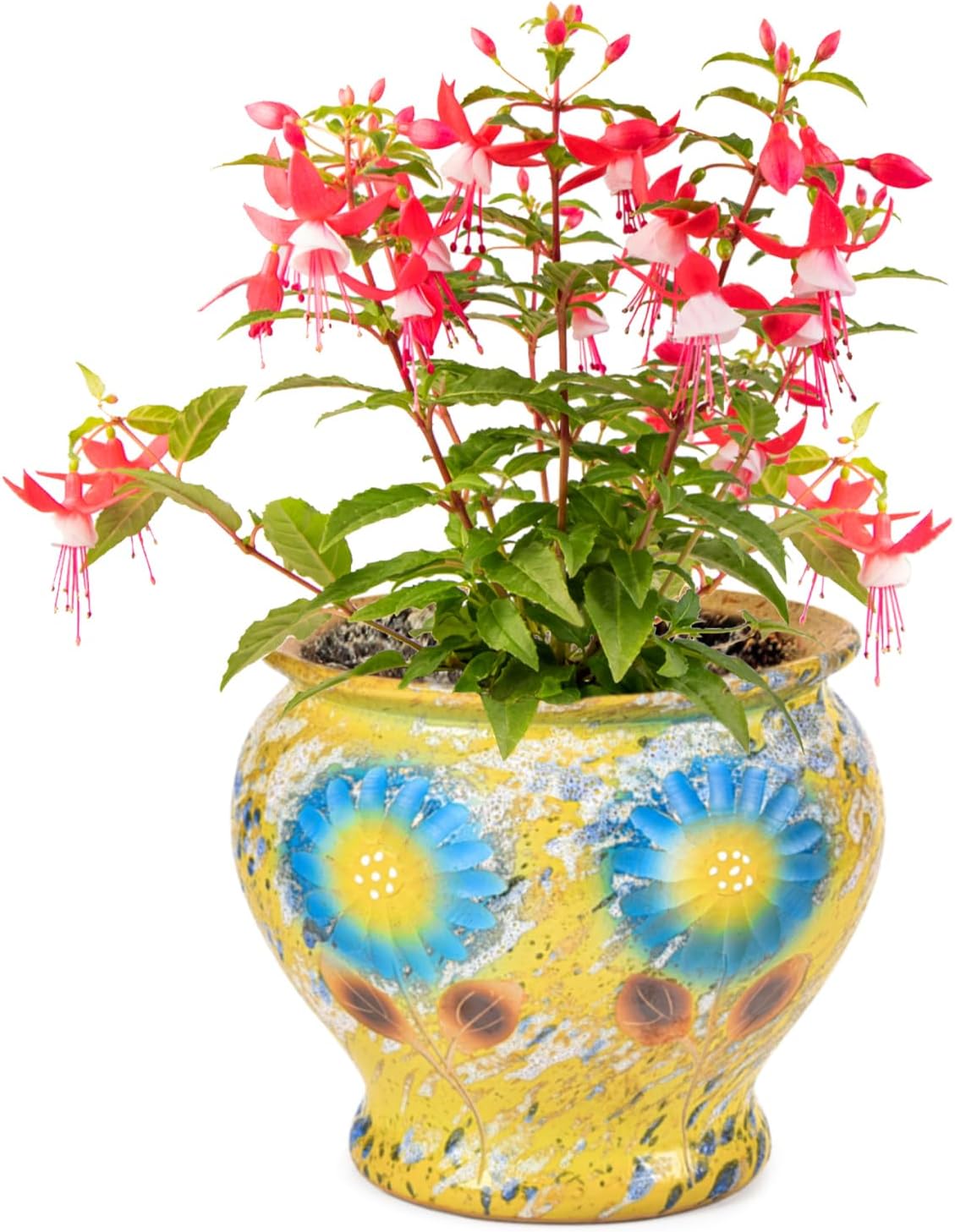 Sungmor Ceramic Hand Painted Succulent Flower Pots, 9 Inch Large Pottery Pots for Indoor Outdoor