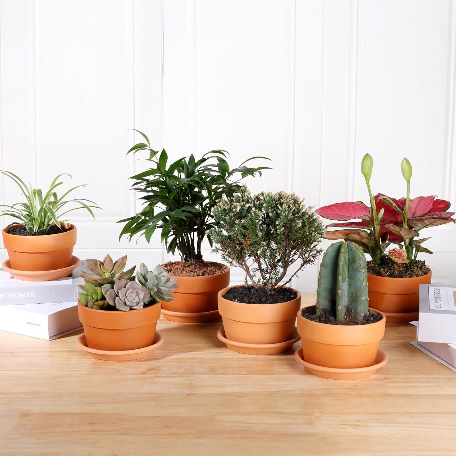 INGOFIN 5 Inch Terracotta Shallow Pots Set with Saucer - Ceramic Clay Pots with Drainage Hole