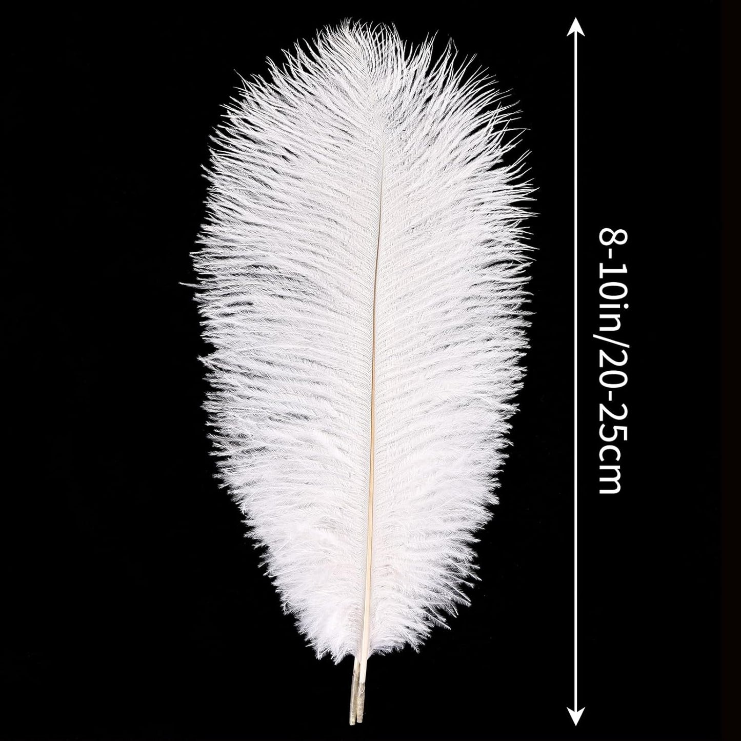 THARAHT White Ostrich Feathers 12pcs Natural Bulk 8-10Inch 20cm-25cm for Crafts Wedding Party