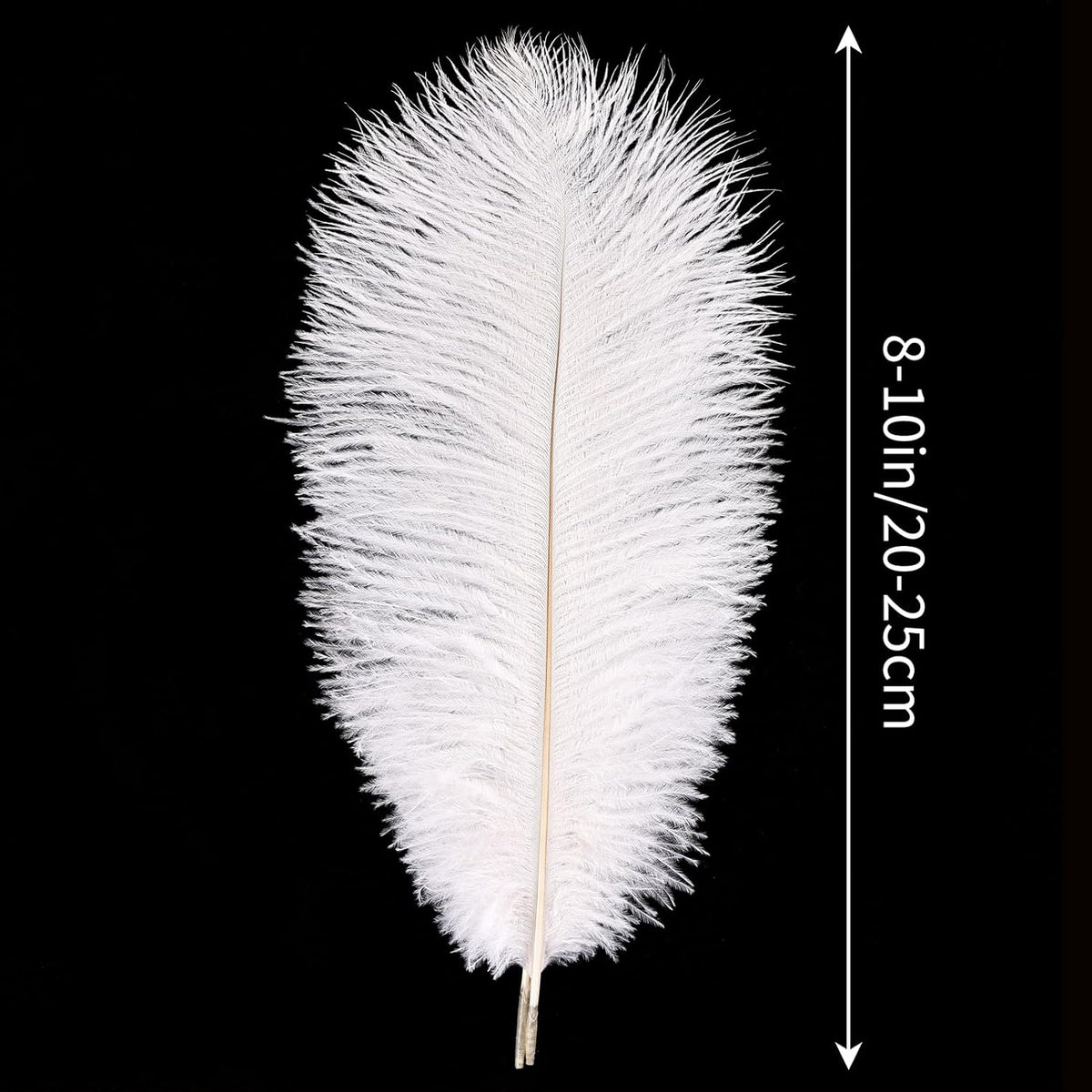 THARAHT White Ostrich Feathers 24pcs Natural Bulk 8-10Inch 20cm-25cm for Crafts Wedding Party