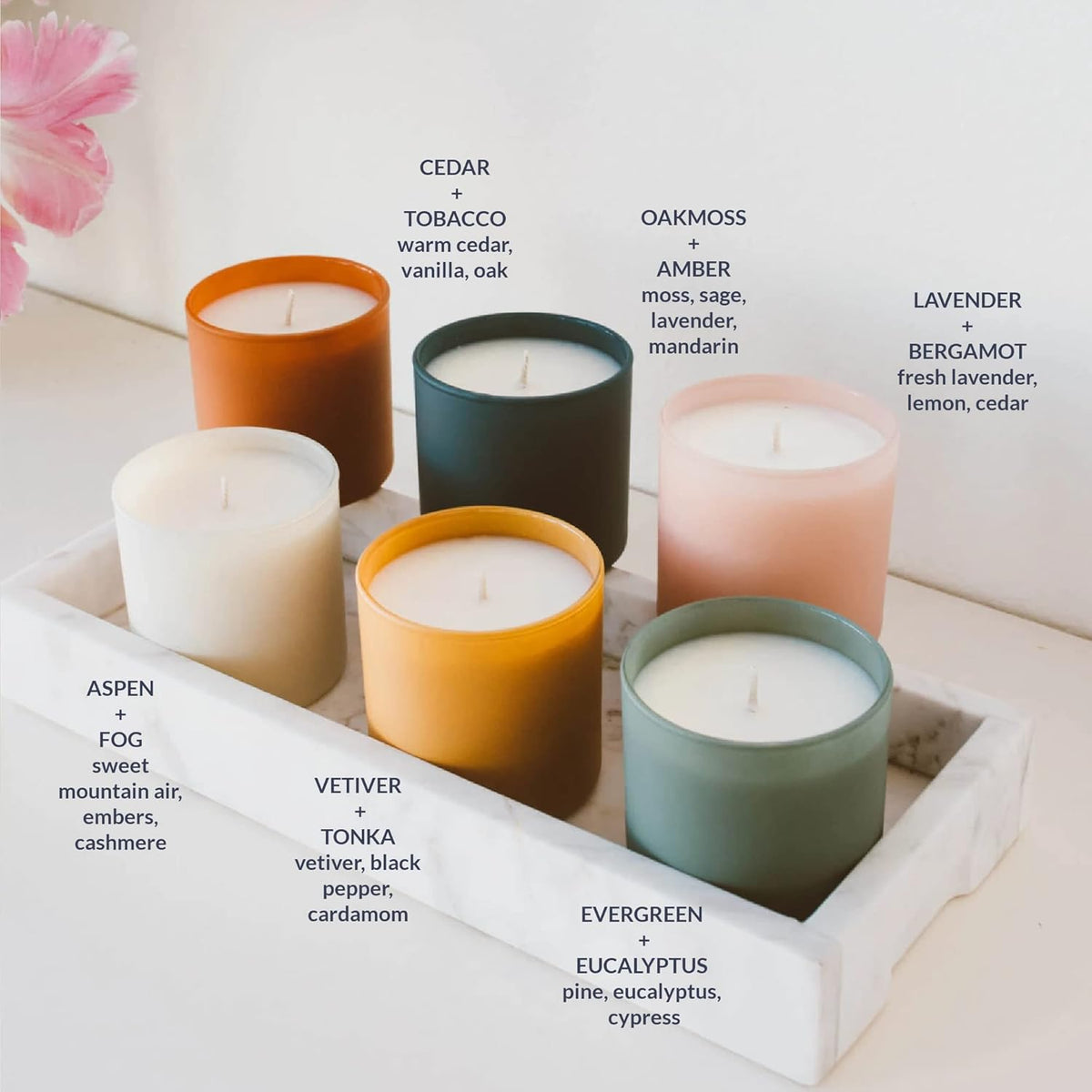 Calyan Wax Co. Scented Candle Gift Set, The Dignity Series Set of 6 Aromatherapy Soy Candles, Non