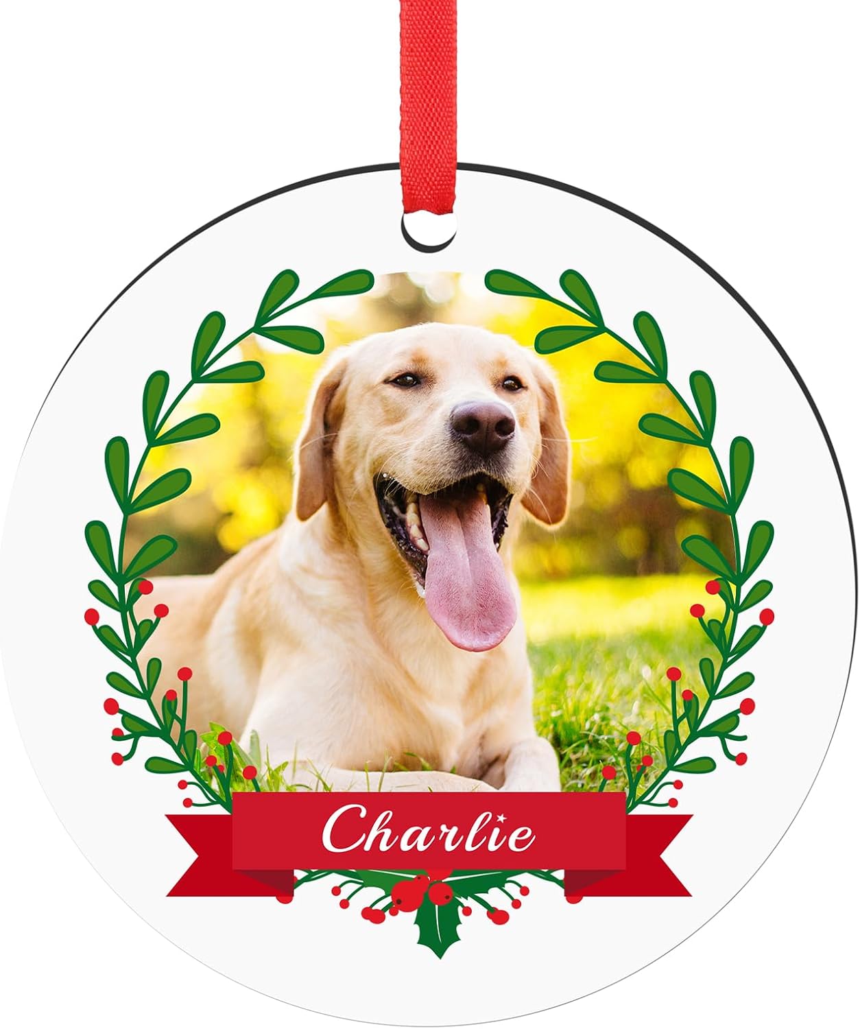 Personalized Christmas Ornaments 2025 Pet Memorial Gifts for Christmas Tree Custom Dogs Picture