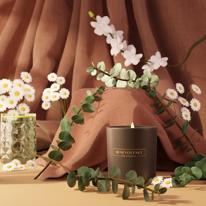 Benevolence LA Eucalyptus & Chamomile Scented Candle | Soy Candles, Black Candle for Home | Gifts