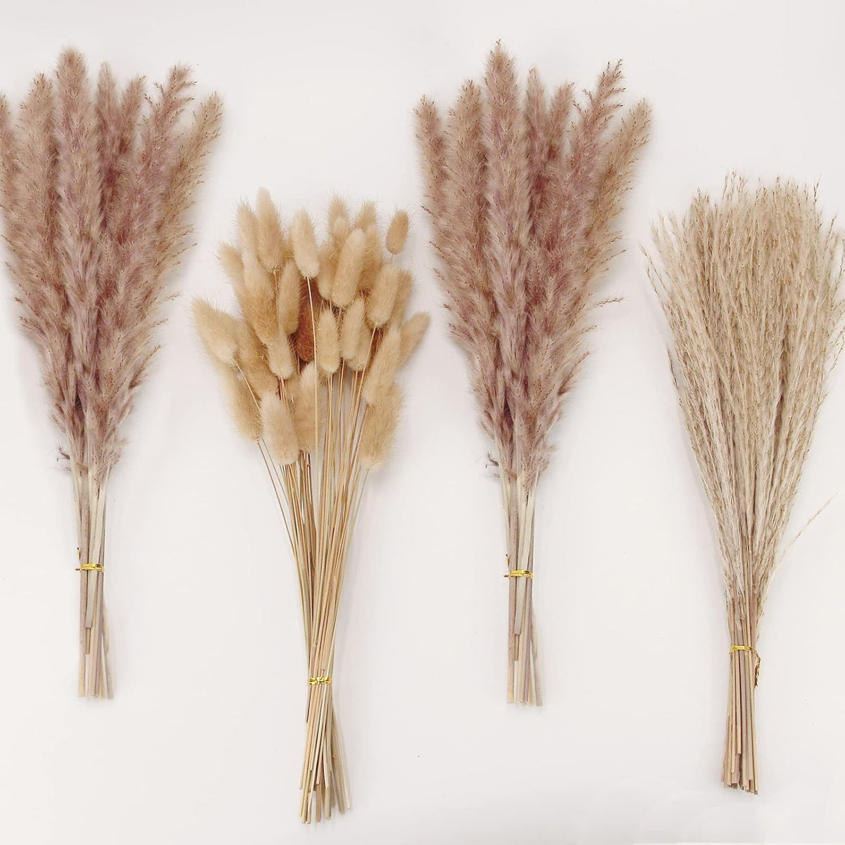 Natural Dried Pampas Grass Decor, Brown Pampas Grass， Bunny Tails Dried Flowers, Reed Grass Bouquet
