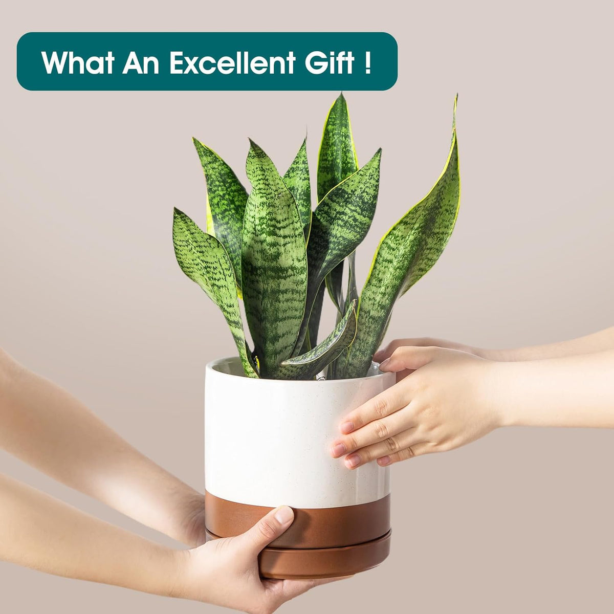 vancasso Ceramic Pots for Plants, Plant Pots for Indoor Plants, 6.25+8.25+10.25 Inch Ceramic