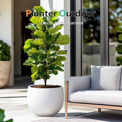 Ball Concrete Planter Outdoor Indoor, Large Tall Cement Plant Pots for Trees Flowers (White, 20