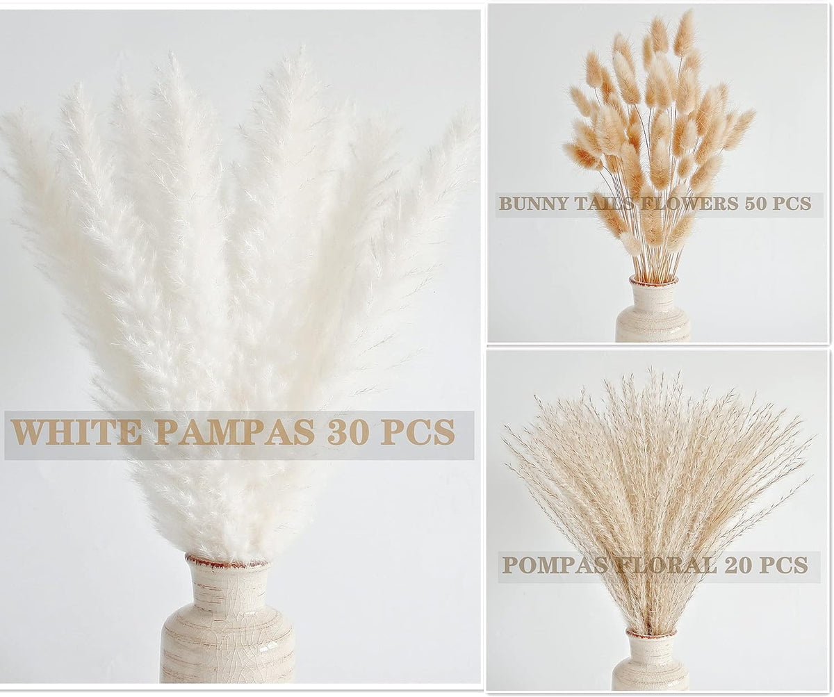 Natural Dried Pampas Grass Decor, White Pampas Grass， Bunny Tails Dried Flowers, Reed Grass Bouquet