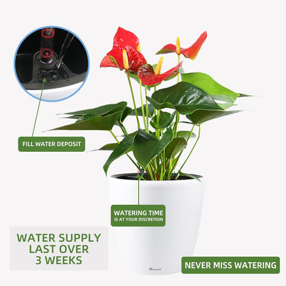 Dexceder 15x14 Self Watering Planter with Wheels Indoor Outdoor, Inner Pot Design, Thickened Large