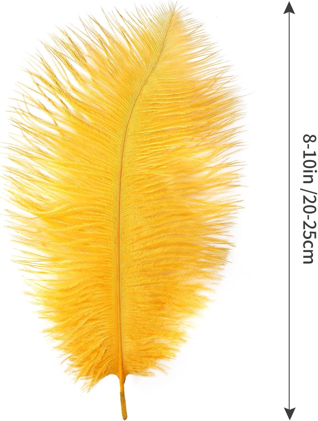 THARAHT Golden Yellow Ostrich Feathers 24pcs Natural Bulk 8-10Inch 20cm-25cm for Crafts Wedding