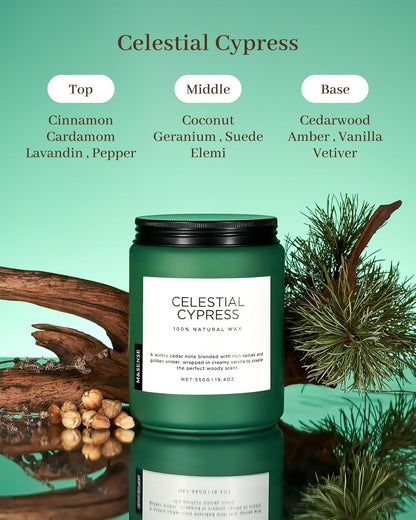 M&SENSE Celestial Cypress - Cedar & Spice Soy Jar Candles, Cedarwood Cardamom Large Winter Scented