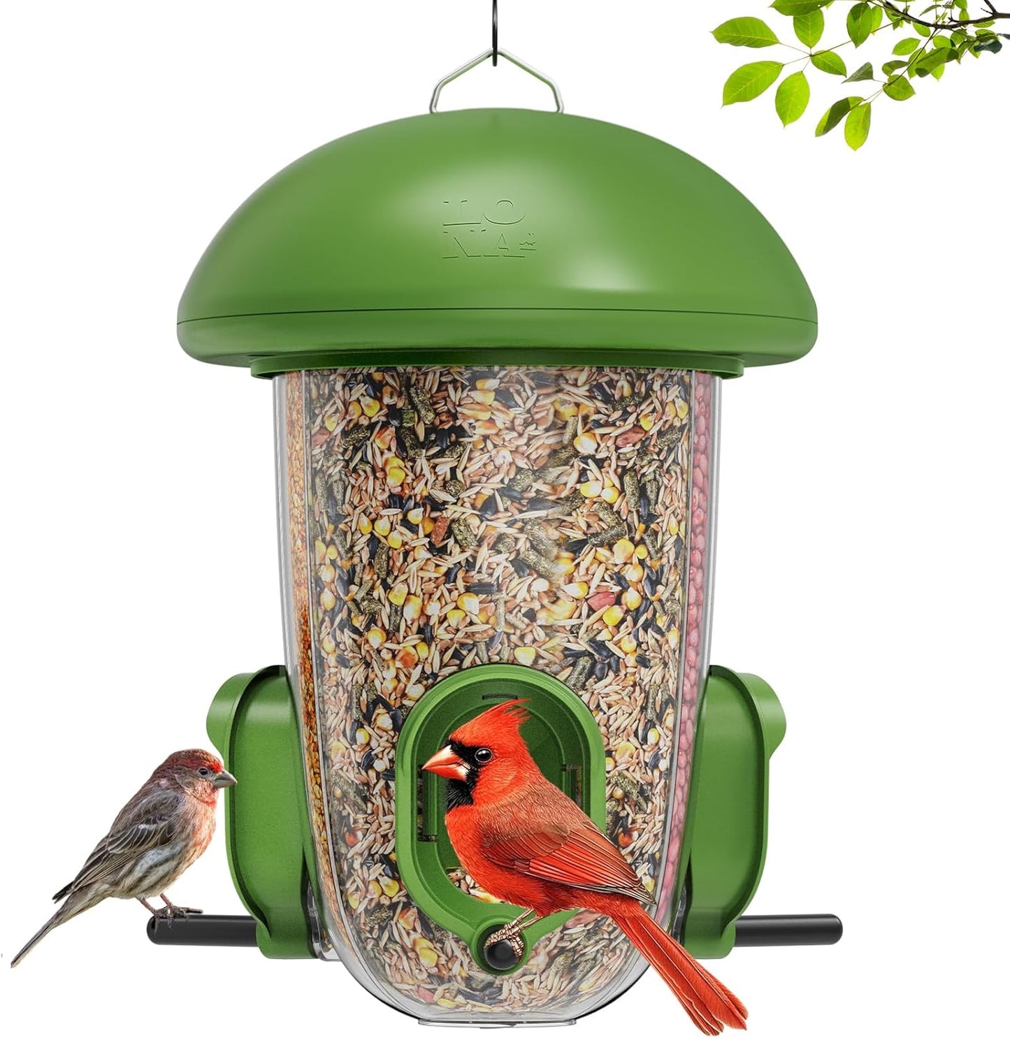 LONA Bird Feeders for Outdoors Hanging – 3 Separate Compartments, 3 Feeding Ports, Weatherproof