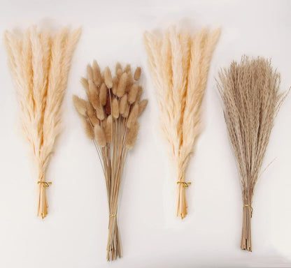 Natural Dried Pampas Grass Decor, Beige Pampas Grass, Bunny Tails Dried Flowers, Reed Grass Bouquet