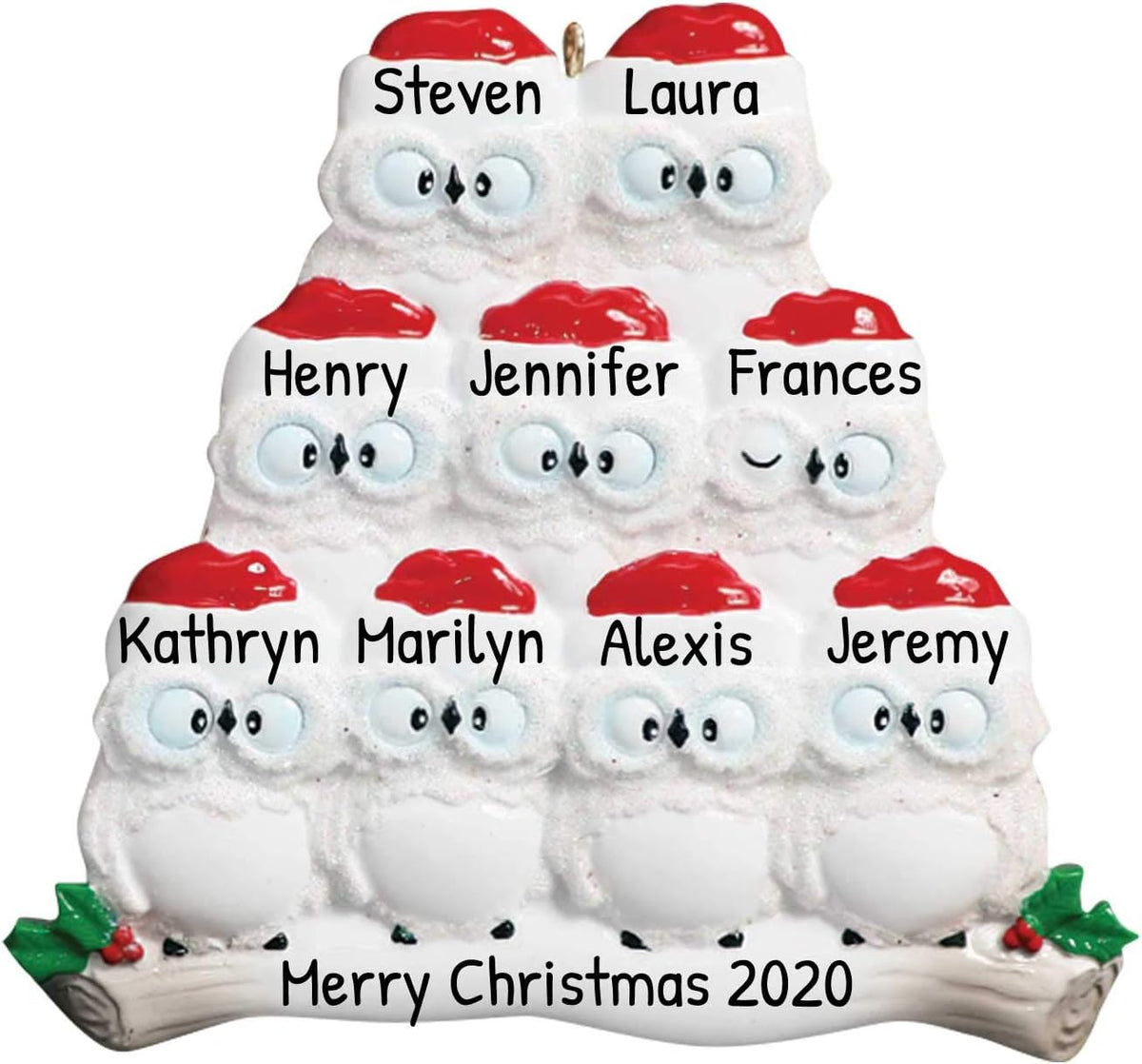 3D Owl Family of 9 Christmas Ornament 2025 Personalized Family Christmas Ornaments 2025 | White