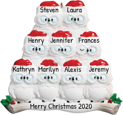 3D Owl Family of 9 Christmas Ornament 2025 Personalized Family Christmas Ornaments 2025 | White