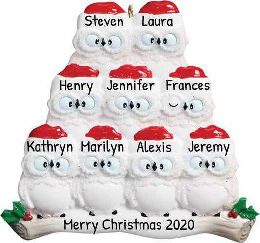 3D Owl Family of 9 Christmas Ornament 2025 Personalized Family Christmas Ornaments 2025 | White