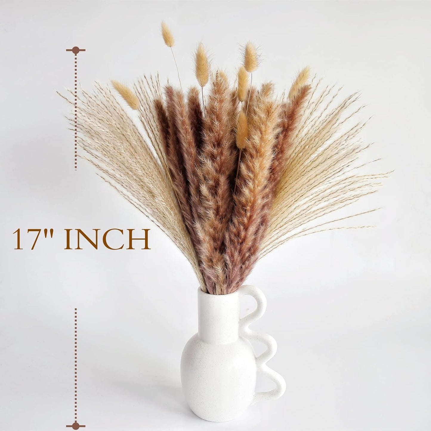 Natural Dried Pampas Grass Decor, Brown Pampas Grass， Bunny Tails Dried Flowers, Reed Grass Bouquet