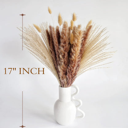 Natural Dried Pampas Grass Decor, Brown Pampas Grass， Bunny Tails Dried Flowers, Reed Grass Bouquet