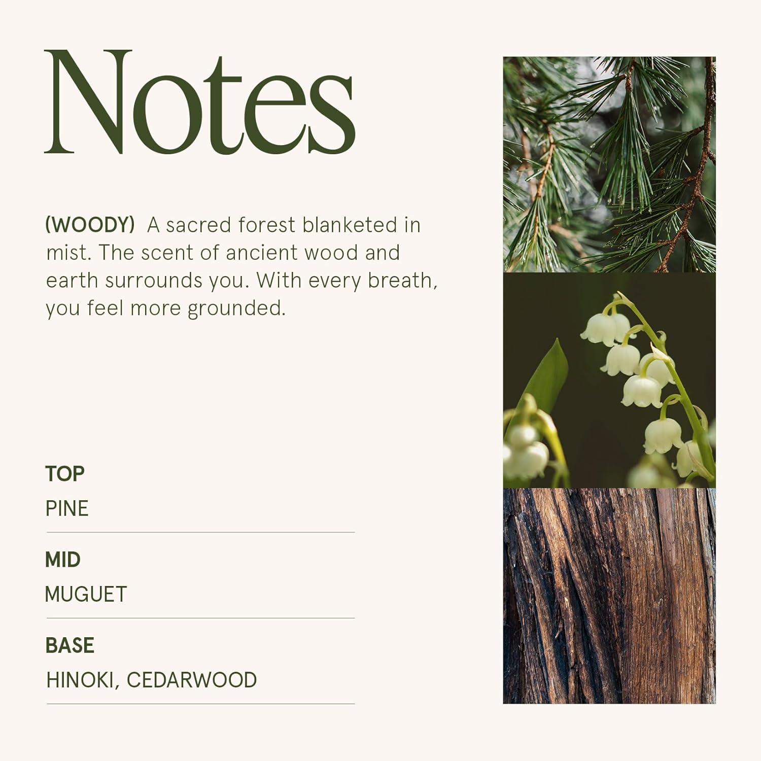 LA JOLIE MUSE Kōya Hinoki & Cypress Scented Candle – Pine, Leather & Hinoki | 19 oz Festive