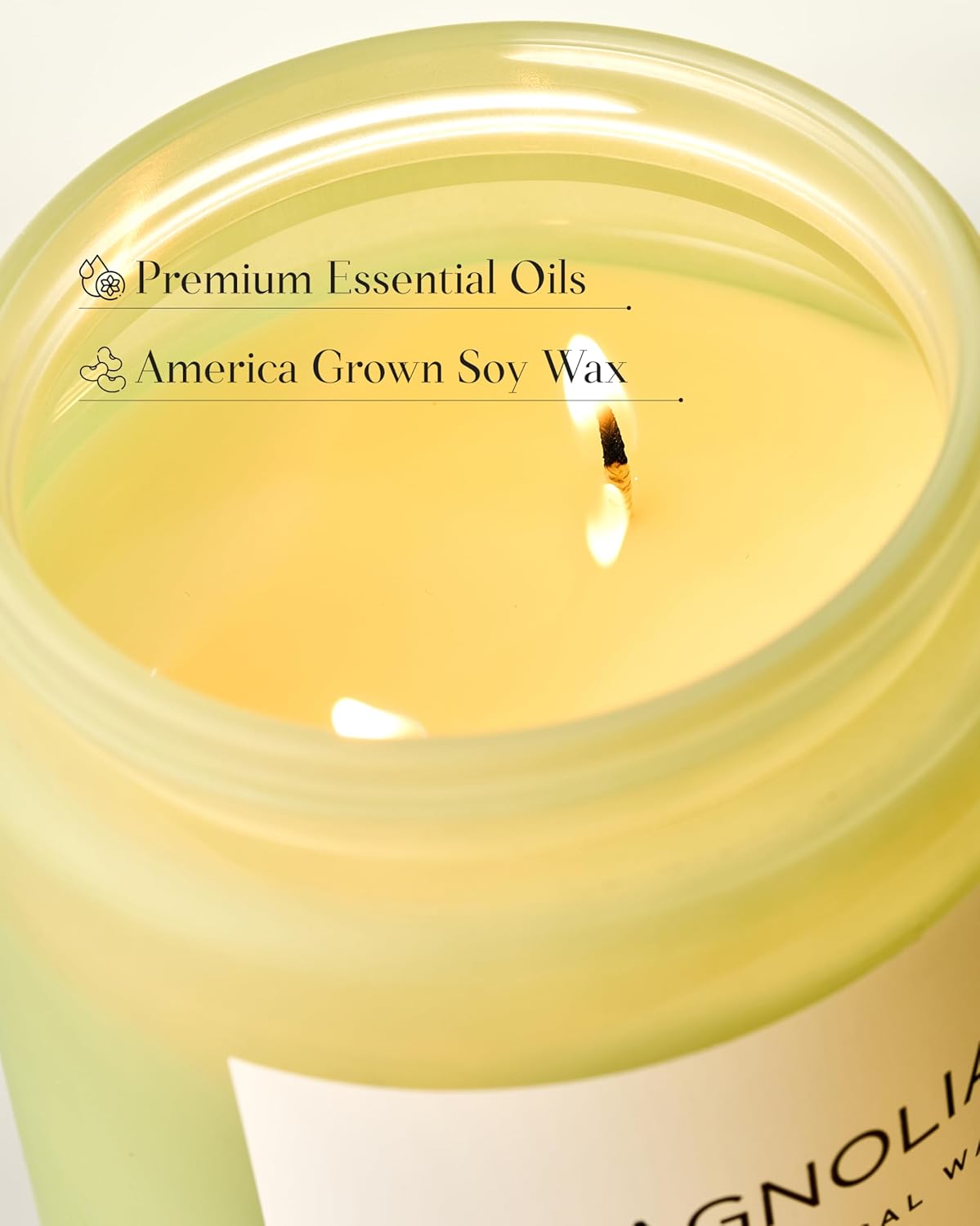 M&SENSE Magnolia Jasmine Romantic Scented Candle, 19.4oz 110 Hours Long Lasting Clean Non Toxic All