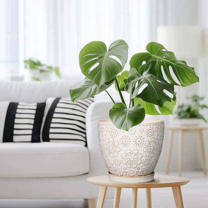 Ceramic Planter 8 Inch Plant Pot with Drainage Hole and Saucer Ceramic Pots for Indoor Plants