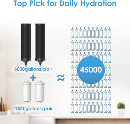 AQUA CREST Gravity Water Filter System, 304 Stainless Steel Countertop System with 4 Filters and