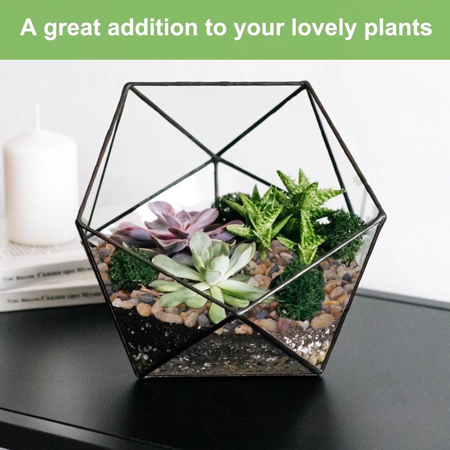 2.5 lbs Drainage Rocks for Potted Plants, 1/5 Inch Small Pebbles for Indoor Plants, Decorative