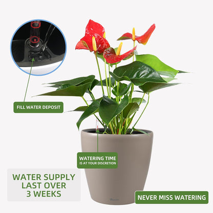 Dexceder 18x17 Self Watering Planter with Wheels Indoor Outdoor, Inner Pot Design, Thickened Large