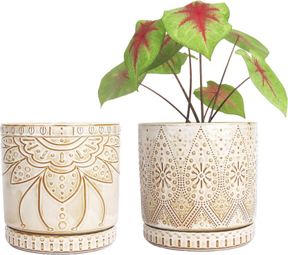 6 Inch Indoor Plant Pots with Drainage Holes and Saucers, Ceramic Planter for Plants, Flower Pot