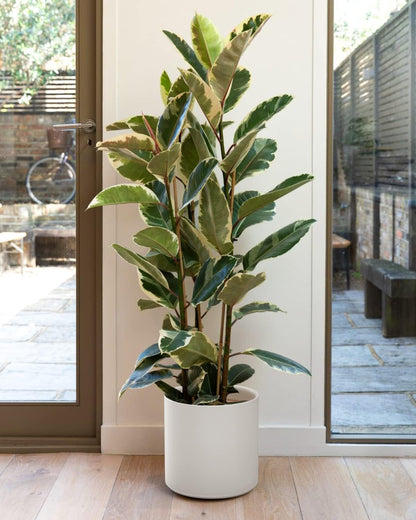 LE TAUCI 12 Inch Pot for Plants, Ceramic Large Planter for Indoor Plants, Mid-Century Modern Flower