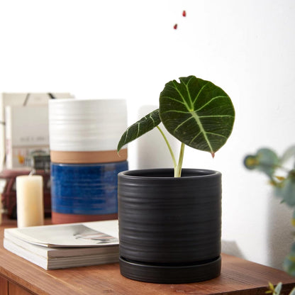 6 Inch Plant Pots, Ceramic Planter Pot with Drainage Hole & Saucer, Indoor/Outdoor Cylinder Round