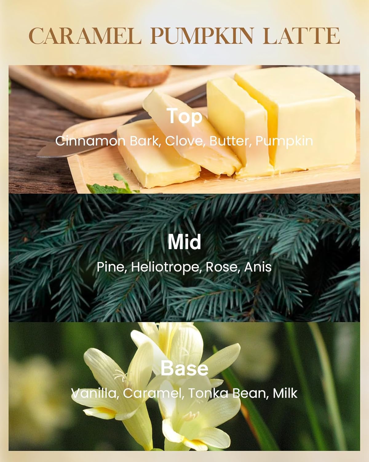 M&SENSE Large Candles Caramel Pumpkin Latte Scented, 3 Wick Natural Soy Candles for Home Scented