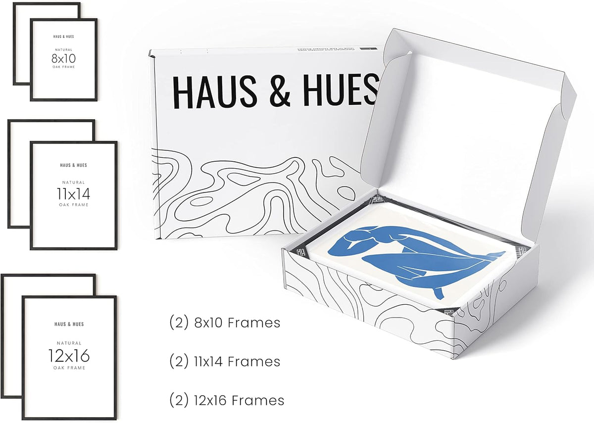 HAUS AND HUES Black Frames for Gallery Wall - Set of 6 Picture Collage Frames for Wall, picture
