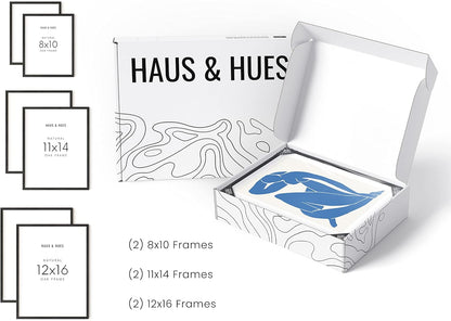 HAUS AND HUES Black Frames for Gallery Wall - Set of 6 Picture Collage Frames for Wall, picture