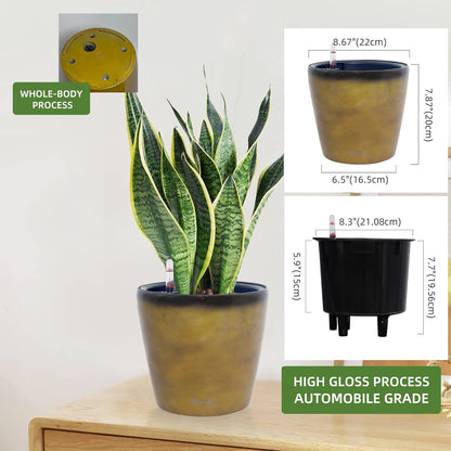 Dexceder 9x8 Inches Self Watering Planter Indoor Outdoor, Inner Pot Design, Thickened Table Flower