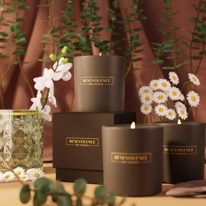 Benevolence LA Eucalyptus & Chamomile Scented Candle | Soy Candles, Black Candle for Home | Gifts