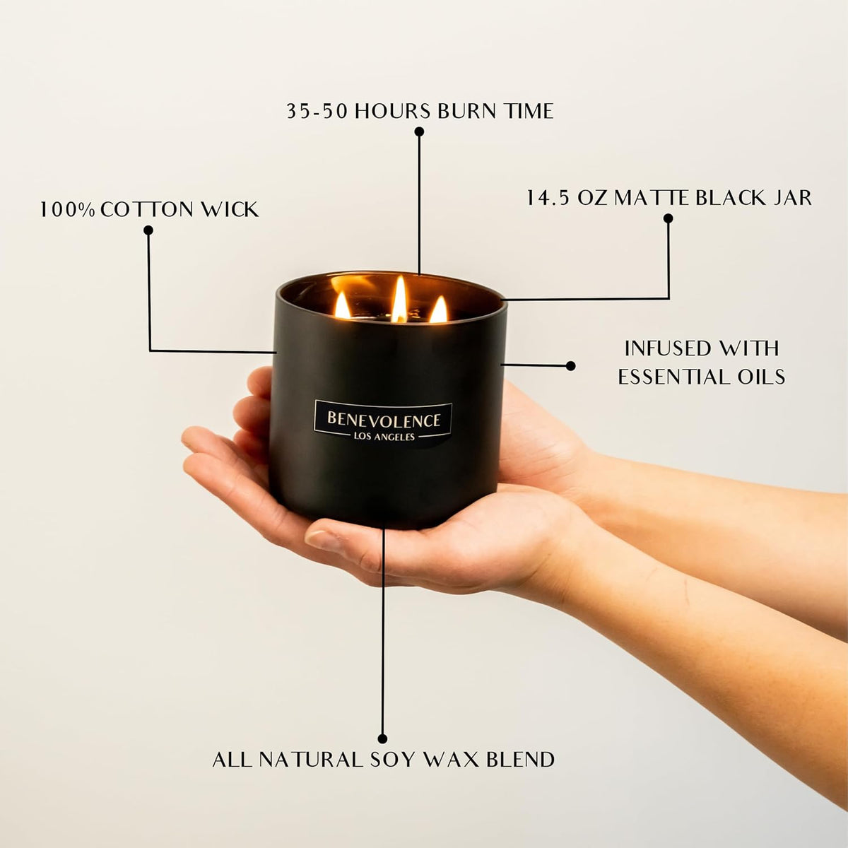 Benevolence LA 3 Wick Candle, Black Berries (Baies) Large Scented Candle | Soy Candles | Gifts for